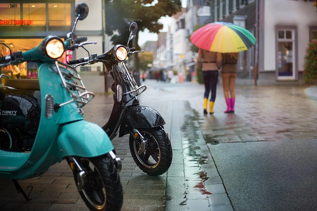 electric scooter sales training session